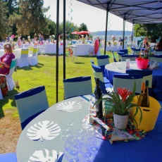 Summer Gala